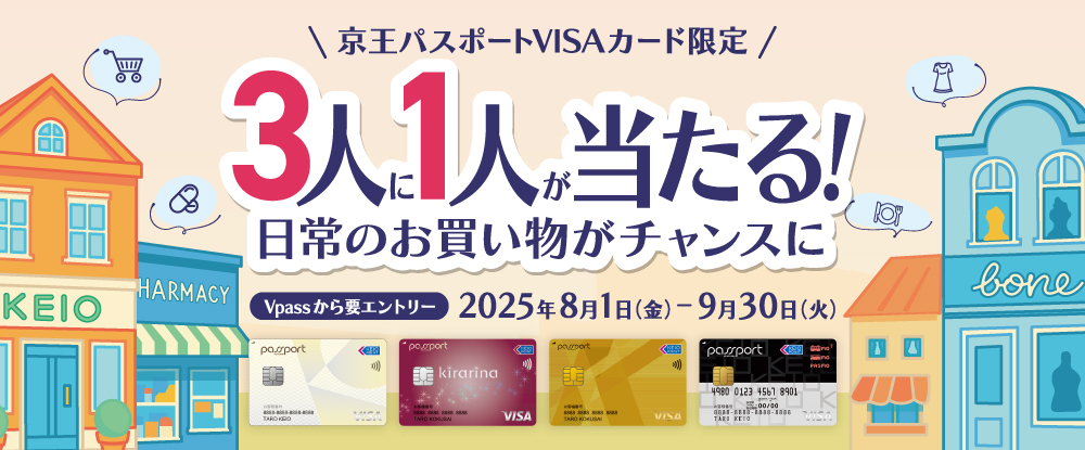 VISAカード3人に１人